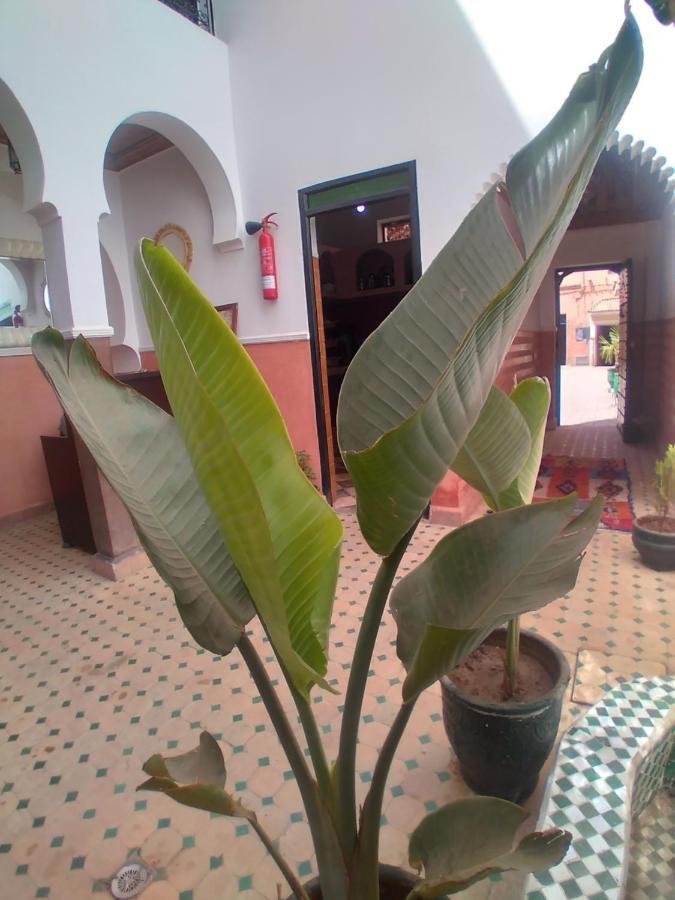 Riad 9 Derb El Bousnne Marrakesh Eksteriør billede